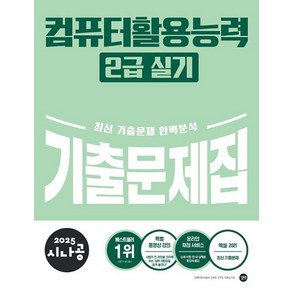 2025 시나공 컴퓨터활용능력 2급 실기 기출문제집, 길벗