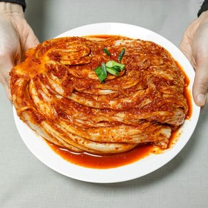 오늘애 보쌈김치 수육김치, 1개, 5kg