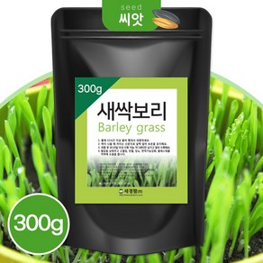 세경팜 영양만점 새싹 보리 씨앗 300g 캣글라스, 1개
