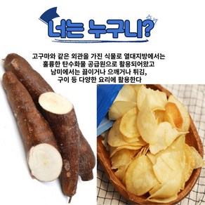 출산 후 다이어트 카사바 칩 비타민 무기질 사포닌 풍부한 영양 성분 다량 함유