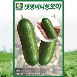 맛짱미니청오이씨앗 10립 청오이씨, 1개