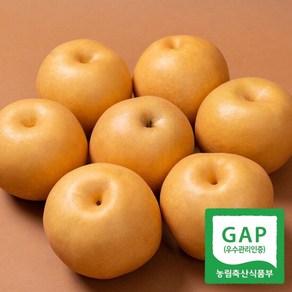 [농부들의수확]GAP인증 24년 나주 햇배 가정용 15kg 26-30과, 1개