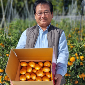 제주 서귀포 맛있는 레드향 가정용/선물용, 1박스, 레드향 2.5kg 대과 가정용