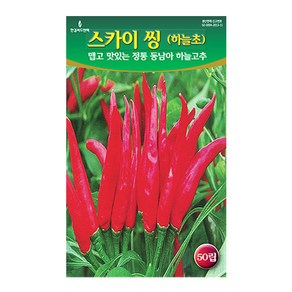 세인화분 스카이 씽 하늘초 50립 - 매운 고추씨 고추씨앗 하늘고추, 1개