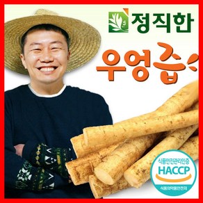 정직한건강즙 정직한 우엉즙 국내산, 110ml, 60개