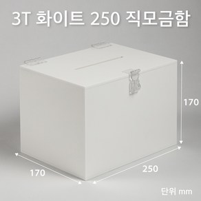 조이사인 직사각 아크릴상자 250x170 / 두께3mm 투표함 응모함 모금함 매장/진열용품, 직모금함 250*170/3T 화이트 [JD25173W]