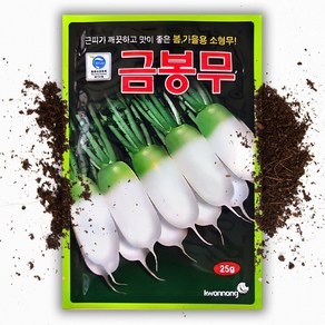 금봉무 씨앗 25g 근피가 깨끗한 봄 가을 무 씨앗 씨, 1개