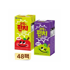 연세대학교 연세우유 연세 과일펀치 짝궁 사과 청포도 48팩, 1세트, 190ml