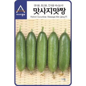 간식용 오이 씨앗 맛사지맛짱 10립 미니 종자 종묘 모종, 1개