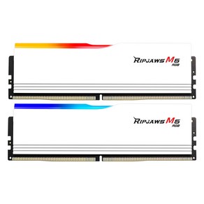 G.SKILL DDR5-6000 CL30 RIPJAWS M5 RGB 화이트 패키지 (32GB(16Gx2)), 2개