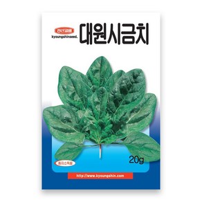 경신종묘 대원시금치 씨앗 20g, 1개