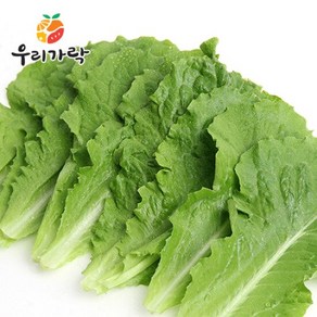 [우리가락]로메인 50g, 1개