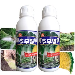 무밭 배추 영양제 칼슘제 결구 촉진제 배추밭 석회비료 붕소비료 추비 액비 500ml 2병 텃밭 거름 양배추 무름 알타리 얼갈이 주말농장 채소 김장밭 식물칼슘 +계량컵 식물푯말세트