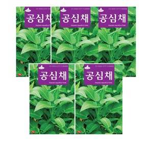 모두다 채소씨앗 공심채씨앗(10g), 5개