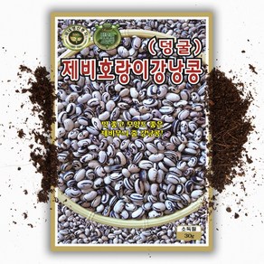 씨앗팜 제비 호랑이강낭콩씨앗(30g) 강낭콩 씨앗 종자 씨, 1개