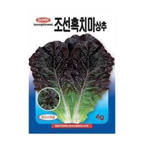 경신종묘 조선흑치마상추 4g 8g 파종용 상추 씨앗, 1개