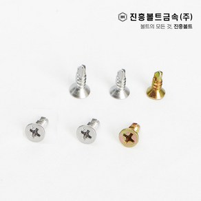 일반 스텐 접시머리 직결나사 피스 봉지판매(13mm ~ 100mm), 1개, 2.스텐