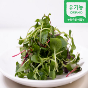 친환경 유기농 어린잎 베이비순 모둠 샐러드 새싹 채소 250g 500g