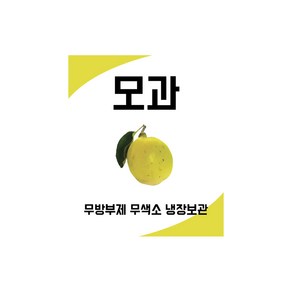 담은 투명모과 스티커 50장