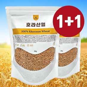 2024년 신선한 수확 고대곡물 FARRO 파로쌀 외 9종 택1 통곡물 저칼로리 고단백 건강쌀, 5)그레이온파로엠버밀300gX3, 1개