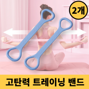 제이니 라텍스 스트레칭 밴드 요가 필라테스 홈트, 블루, 2개