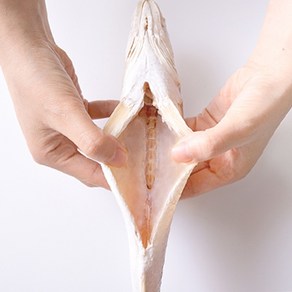 반건조 민어조기 25cm ~ 33cm내외 5미 10미