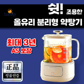 루미티 44db 약탕기 올유리 분리형 1L 전기약탕기 차달임기 가정용 차탕기 티포트, 1L(티필터포함)