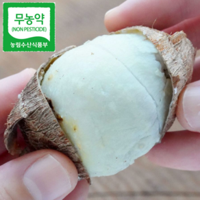 {산지직송] 무농약 곡성토란 햇토란 깐토란, 1박스, 깐토란 1kg