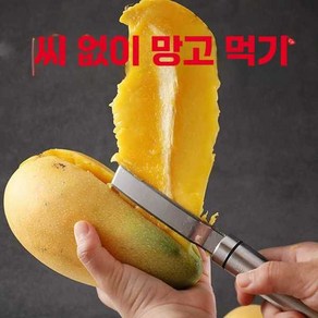 망고 칼 커팅기 망고씨 슬라이서 절단기 도구 필링 156633, 3. 망고스푼2팩 156633