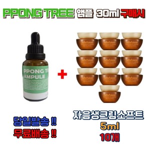 PPONG TREE 30ml 앰플 1개 구매시 자음생크림 소프트 5ml 10개