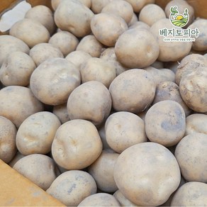 [업소용 대용량]25년 햇감자 수미 알감자 휴게소 감자 중 조림사이즈 5kg 10kg 20kg, 1박스, 중(휴게소 알감자) 20kg