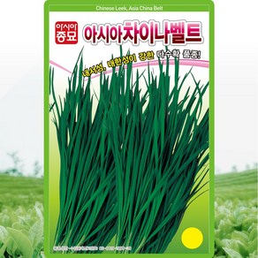 아시아차이나벨트 부추 씨앗 20g, 1개