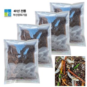 [삼화해조류] 완도 소금줄인 꼬시래기 500g 소포장 최고의 영양반찬, 4개