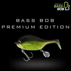 [배스밥] 블루힐 100mm 32g 스웜베이트 빅베이트 쉐드웜 루어낚시, 1- Blue Hill Bait, 1개