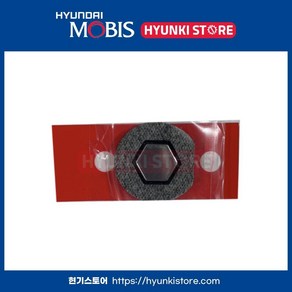 캐스퍼 엠블럼 HEXAGON (86311O6000)