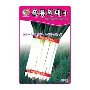 오스템 대파씨앗 흑룡외대파 400g, 1개