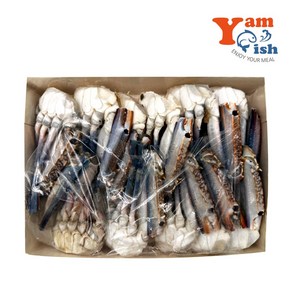 바레인 튀니지 절단 꽃게 M, 1개, 500g