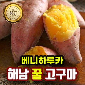 베니하루카 해남 꿀고구마 고당도 정품 꿀 고구마, 1개, 2kg(중상)