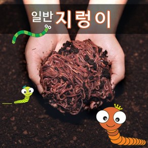 일반지렁이(분홍색통) 생미끼 기타미끼(16시전 당일발송), 1개, 35g