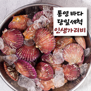 홍 가리비 고압브러쉬 세척 통영직배송, 1개, 2kg