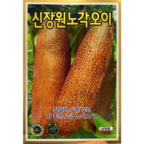 헬프팜 신장원노각오이 50립 씨앗 종자 KS종묘, 1개