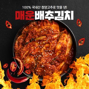 경자네 국내산 전라도 청양 실비 매운 배추 포기김치, 1개, 5kg