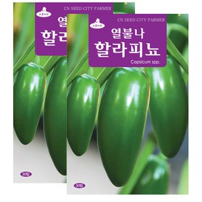 세인화분 할라피뇨 30립, 2개