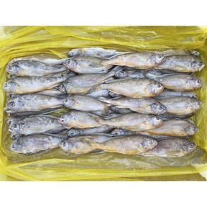 힘찬푸드 중국산 참조기 2.5KG 52마리 전후 업소용 도매