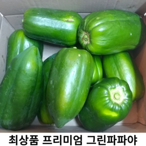 국산 그린 파파야 1kg 2kg 5kg 10kg 쏨땀 샐러드 주스 국산 생 그린파파야 국내재배 당일수확 동남아 과일 채소