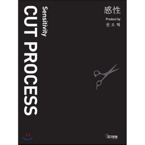 [지구문화사]Cut Pocess(커트 프로세스)(Sensitivity)(CD1장포함), 지구문화사, 권오혁 저