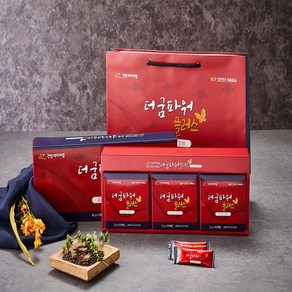 더굼파워플러스 굼벵이환 120g(쇼핑백 증정), 120g, 1세트