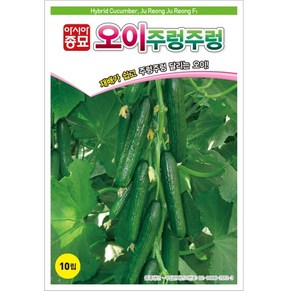 [NEW/최신종묘][BEST/발아율90%이상] 오이씨앗종자 주렁주렁 오이(10립 100립), 10립, 1개