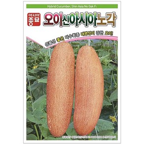 팜스마켓 노각오이 씨앗 종자 50알, 1개