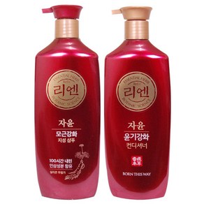 리엔 지성 샴푸+컨디셔너 950ml 한방샴푸